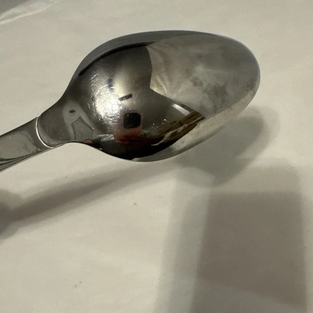 Oneida Stainless Large Hanging Serving  Spoon‎ 10